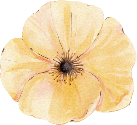 Watercolor yellow flower